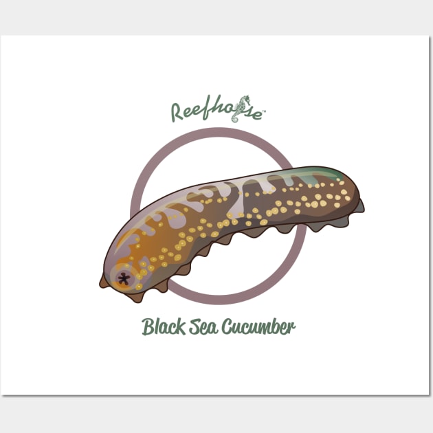 Black Sea Cucumber Wall Art by Reefhorse